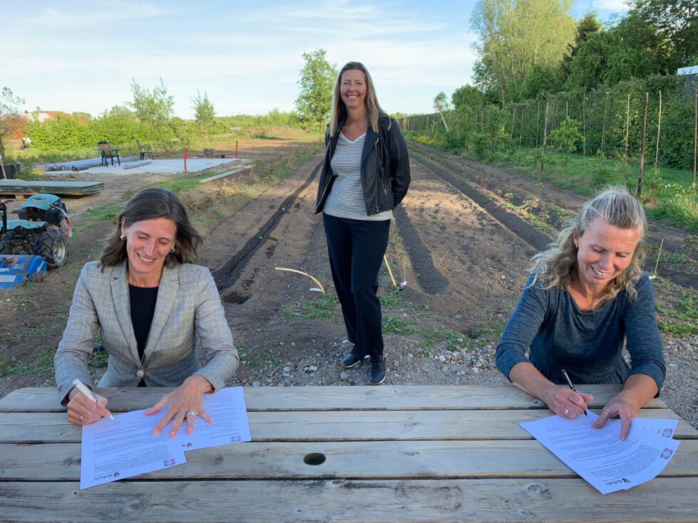 Onderwijs in de buitenlucht